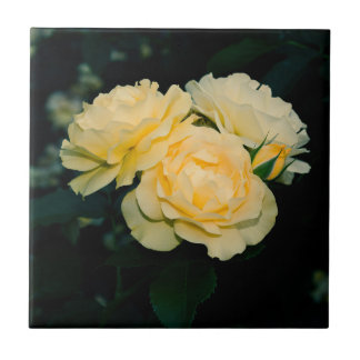 Jardim de Rosas Dourados