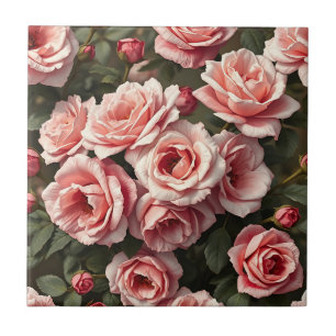 Jardim de Rosas Rosa Mal-humorado