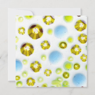 jardim de vidro nº 3