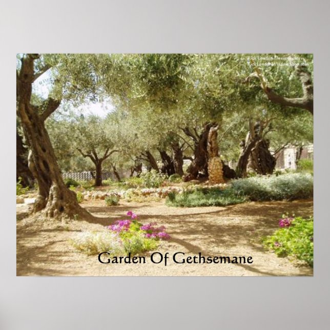 Jardim do Getsêmani Cristianismo Pôsteres (Frente)