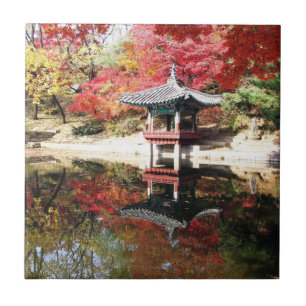 Jardim do japonês do outono de Seoul
