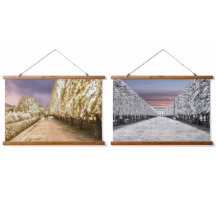 Jardim do Palácio Real de Paris