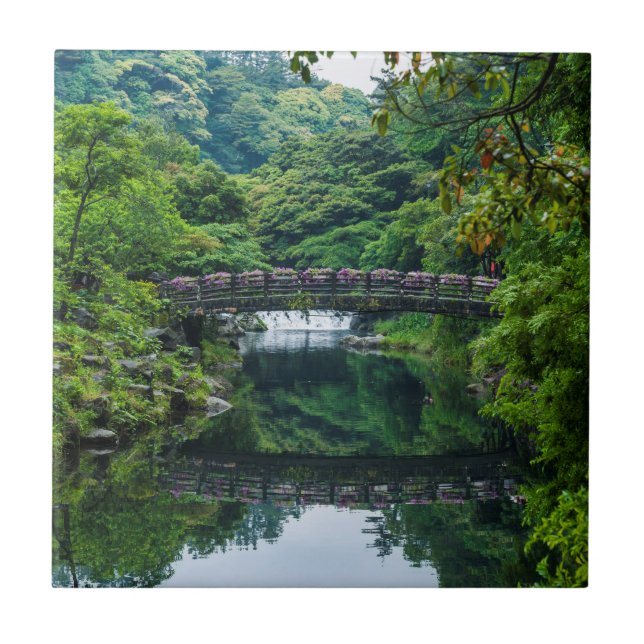 Jardim E Ponte Coreanos (Frente)