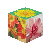Jardim em uma caixa