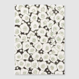 Jardim floral da Flor Branca do Japão