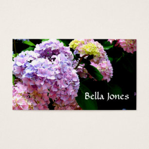 Jardim Hydrangea, rosa, azul, floral roxo