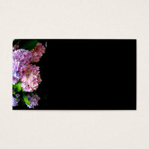 Jardim Hydrangea, rosa, azul, floral roxo