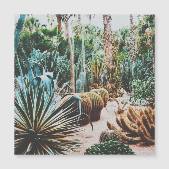 Jardim Majorelle - Marraquexe - Marrocos (Frente)