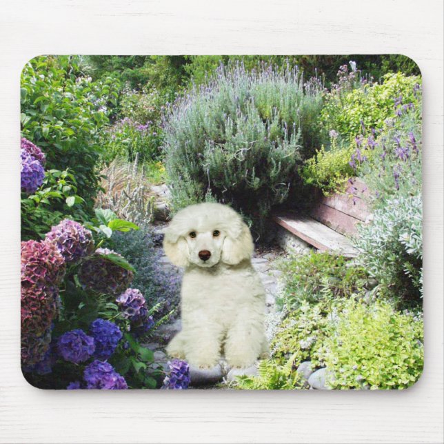 Jardim Mousepad da caniche (Frente)
