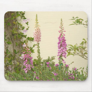 Jardim Mousepad da casa de campo do Foxglove