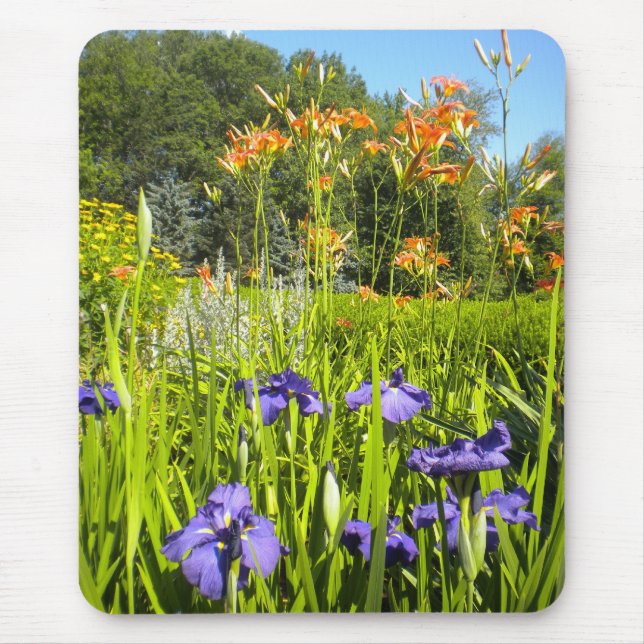 Jardim Mousepad de Iris N Daylily (Frente)