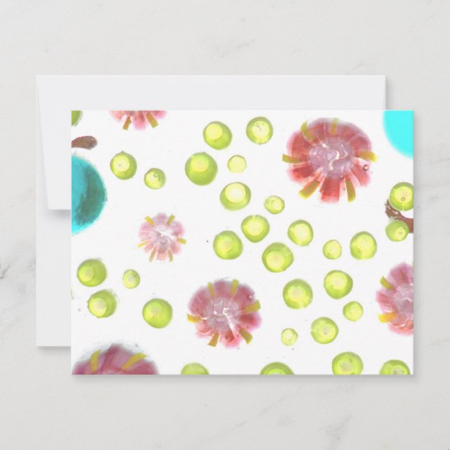 jardim nº 1 (Frente)