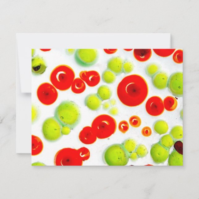 jardim n.o 5 (Frente)