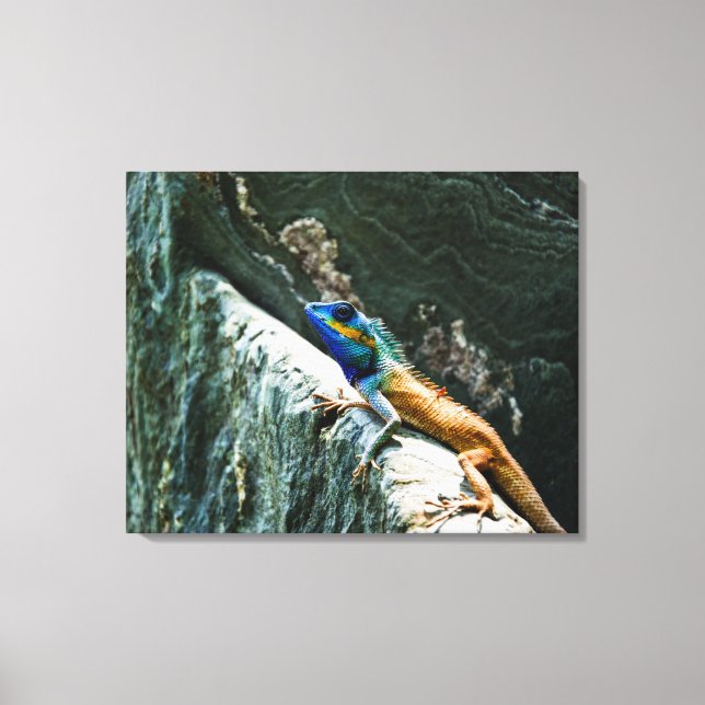 Jardim Oriental Lizard - Canvas (Frente)