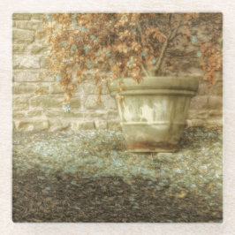 Jardim Russo do Outono