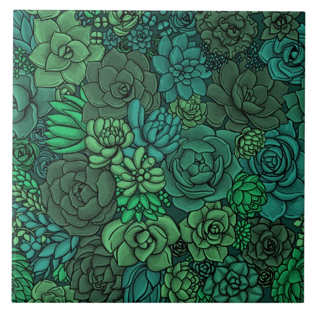 Jardim suculento em verde (Frente)