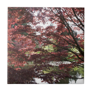 Jardim Van Dusen, bordo japonês