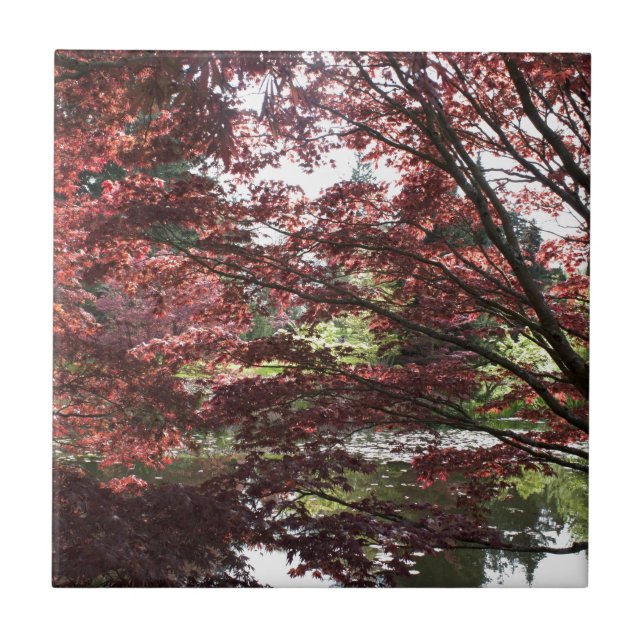 Jardim Van Dusen, bordo japonês (Frente)