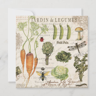 jardim vegetal francês da vintage moderna