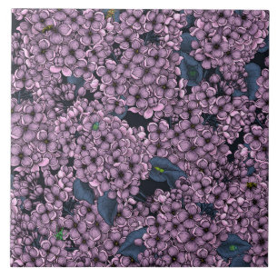 Jardim Violet Lilac