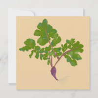 Jardineiras de Nabos Agrícolas