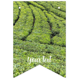jardins de chá de Munnar em bandeiras de festa