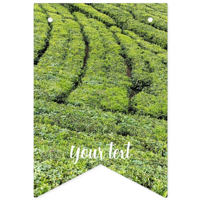 jardins de chá de Munnar em bandeiras de festa (Primeira Bandeira)