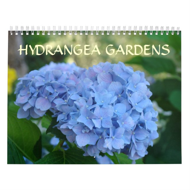 Jardins de Hortênsias Calendário Hortênsias Azuis (Capa)