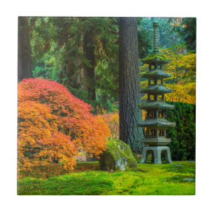 Jardins Japoneses no Outono em Portland, Oregon