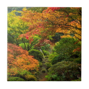 Jardins Japoneses no Outono em Portland, Oregon 2