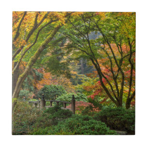 Jardins Japoneses no Outono em Portland, Oregon 4