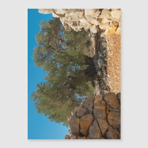 Jardins Olivais de Lun