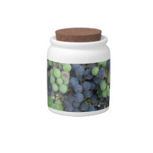 Uvas no Vine, Aron Hill Vineyard