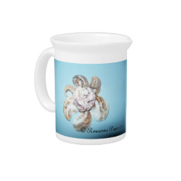 Jarros De Bebidas SDCs Jug (ShellFlowerOnBlue) ©️ 2012