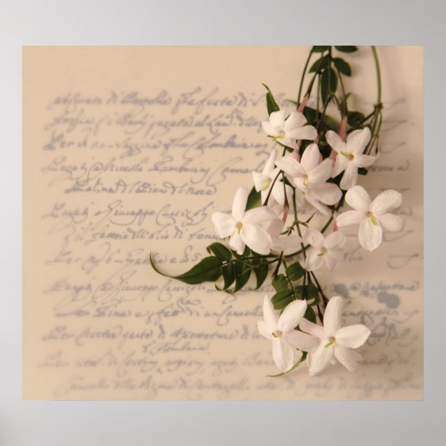 jasmim no antigo roteiro poster colossal (Frente)