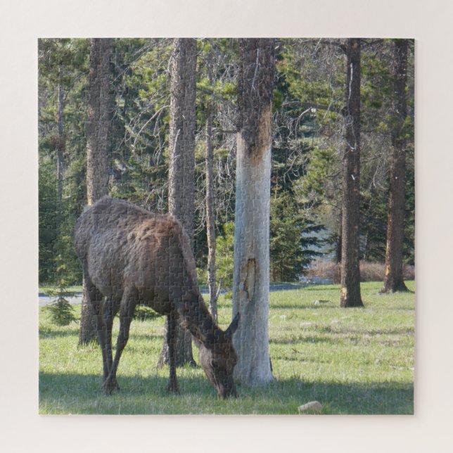 Jasper National Park, Alberta Canada Quebra-cabeça (Vertical)
