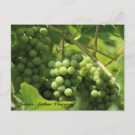 JAV Green. Rua. Cartão postal Croix 10