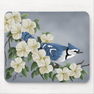 Jay azul Mousepads