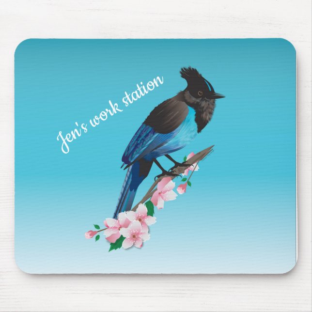Jay Mousepad do Steller (Frente)