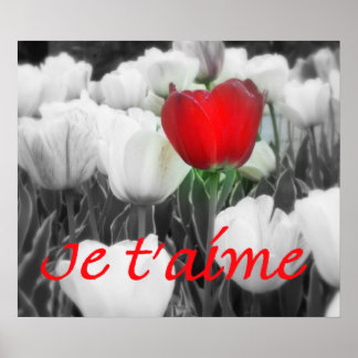 Je t'aime Red Tulip Impressão