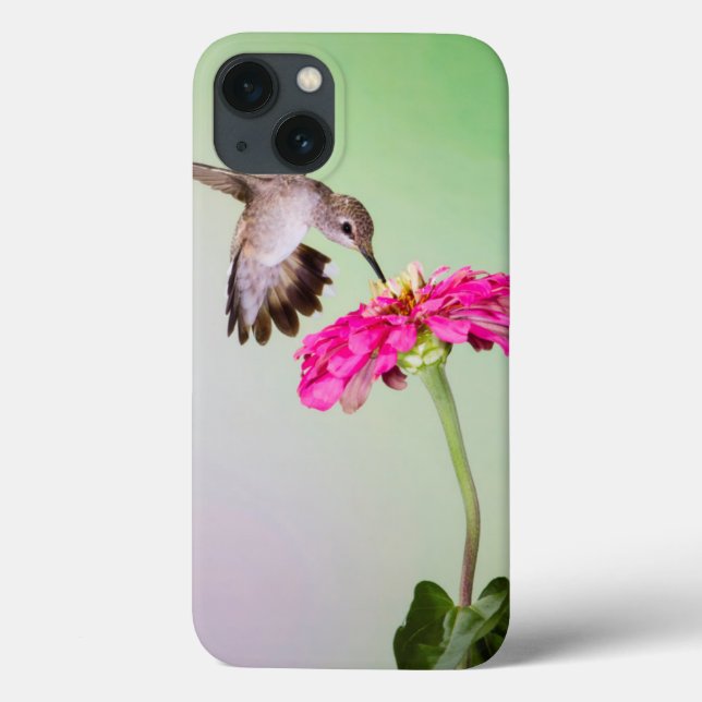 Jeff Davis County, Texas (Verso)