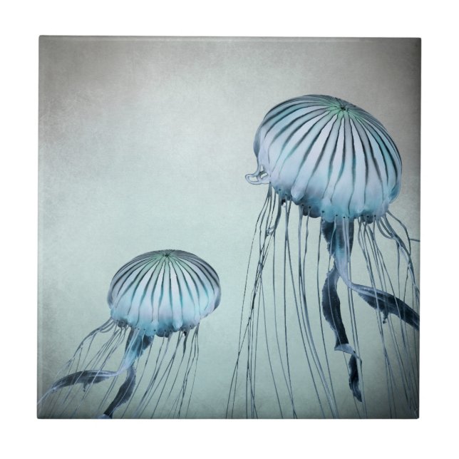Jelly Fish Dance (Frente)