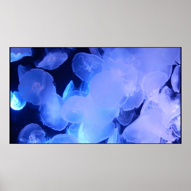 JELLYFISH POSTER (Frente)