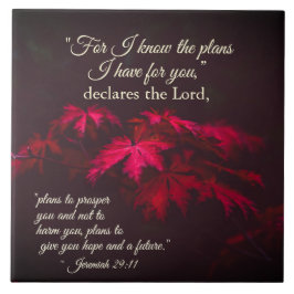 Jeremiah 29:11 Porque eu sei os planos que tenho p