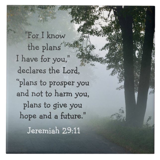 Jeremiah 29:11 Porque eu sei os planos que tenho p (Frente)