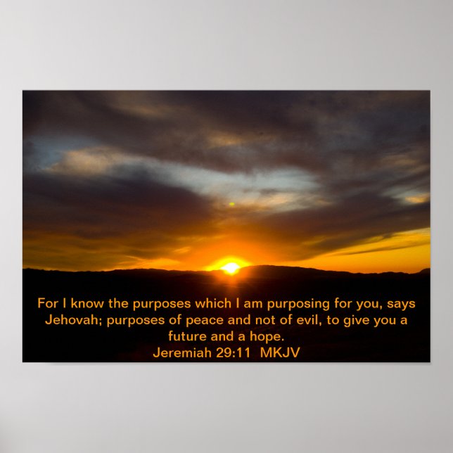 Jeremiah 29:11 Poster (Frente)