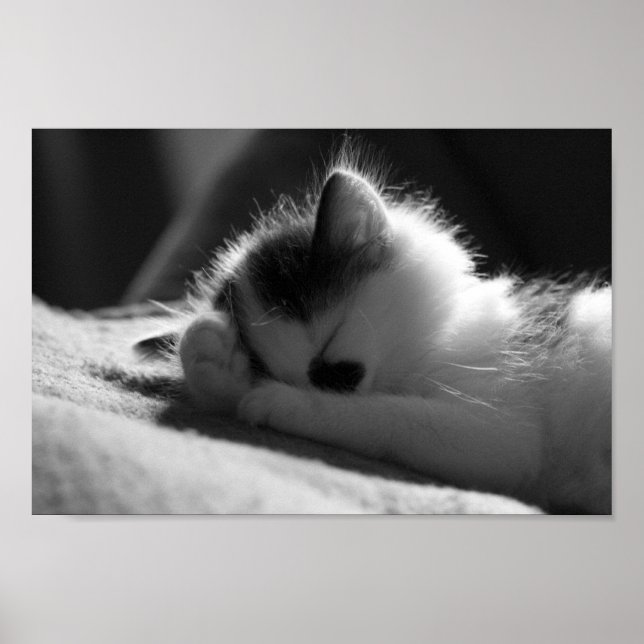 Jessy Jane - Pequena poster (Frente)