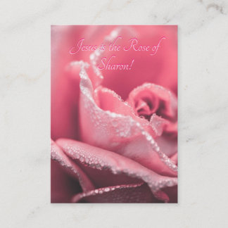 Jesus é o modelo do Rosa de Sharon