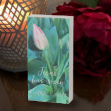 Jesus Tem Presente De Foto De Tulip De Felz pascoa