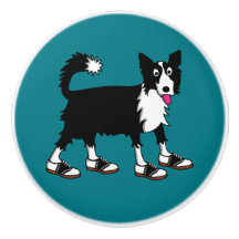 Jett, o Bordo Collie